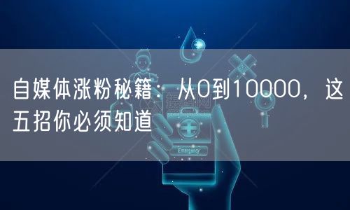 自媒体涨粉秘籍:从0到10000,这五招你必须知道