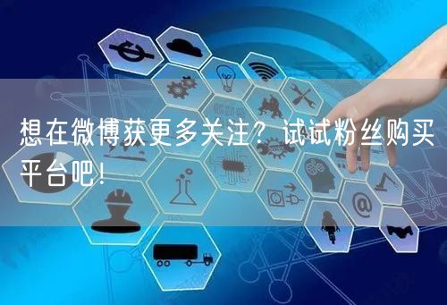 想在微博获更多关注？试试粉丝购买平台吧！