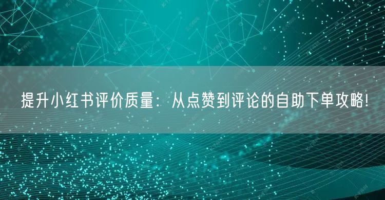 提升小红书评价质量：从点赞到评论的自助下单攻略!