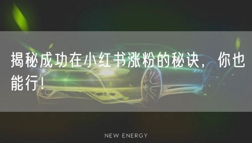 揭秘成功在小红书涨粉的秘诀,你也能行!