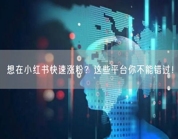 想在小红书快速涨粉?这些平台你不能错过!