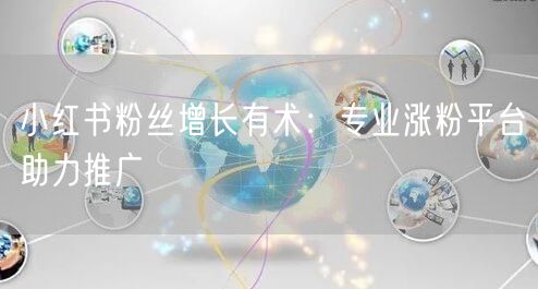 小红书粉丝增长有术:专业涨粉平台助力推广
