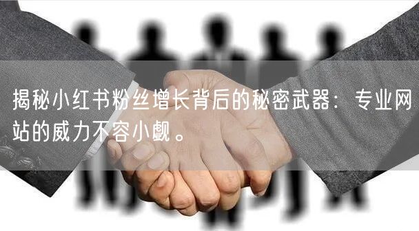 揭秘小红书粉丝增长背后的秘密武器:专业网站的威力不容小觑。