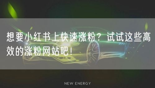 想要小红书上快速涨粉?试试这些高效的涨粉网站吧!