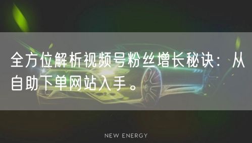 全方位解析视频号粉丝增长秘诀:从自助下单网站入手。