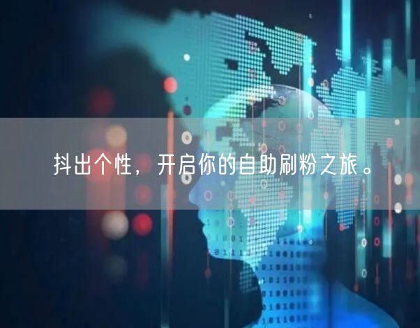 抖出个性,开启你的自助刷粉之旅。