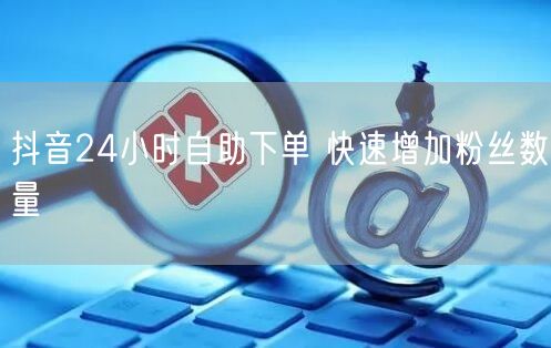 抖音24小时自助下单 快速增加粉丝数量