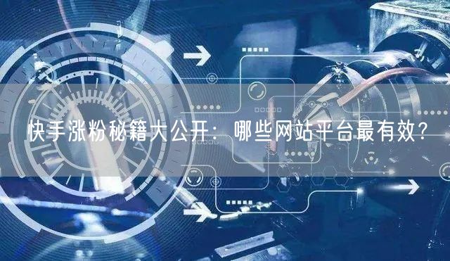 快手涨粉秘籍大公开：哪些网站平台最有效？