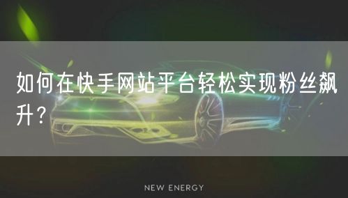 如何在快手网站平台轻松实现粉丝飙升？