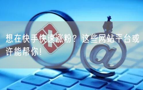 想在快手快速涨粉？这些网站平台或许能帮你！
