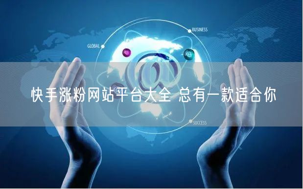快手涨粉网站平台大全 总有一款适合你