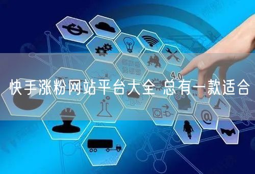 快手涨粉网站平台大全 总有一款适合