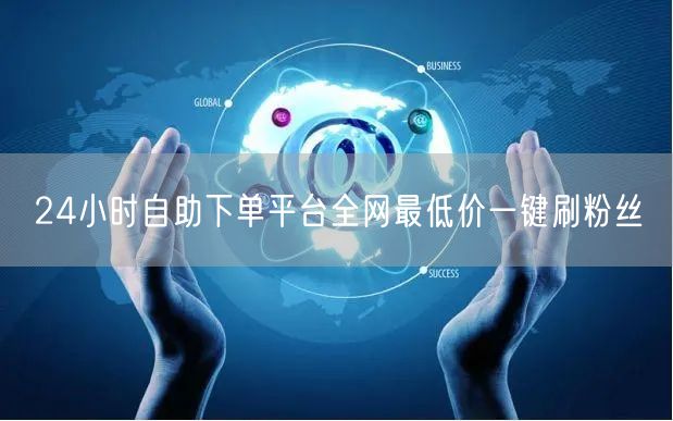 24小时自助下单平台全网最低价一键刷粉丝