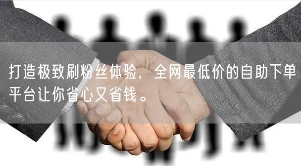 打造极致刷粉丝体验，全网最低价的自助下单平台让你省心又省钱。