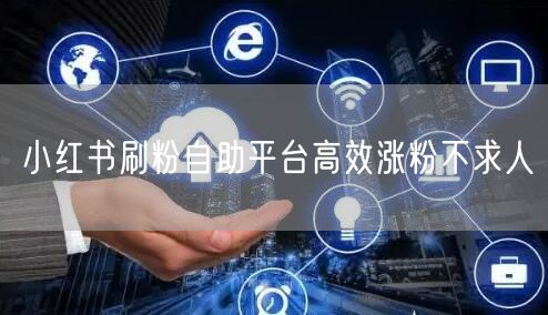 小红书刷粉自助平台高效涨粉不求人