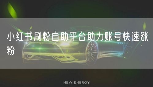 小红书刷粉自助平台助力账号快速涨粉