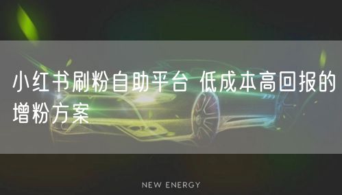 小红书刷粉自助平台 低成本高回报的增粉方案