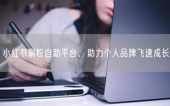 小红书刷粉自助平台，助力个人品牌飞速成长