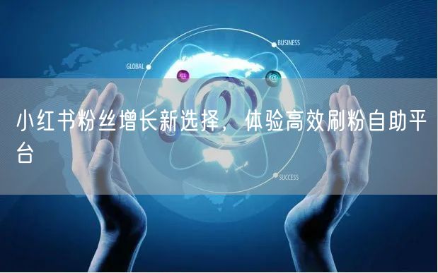 小红书粉丝增长新选择，体验高效刷粉自助平台