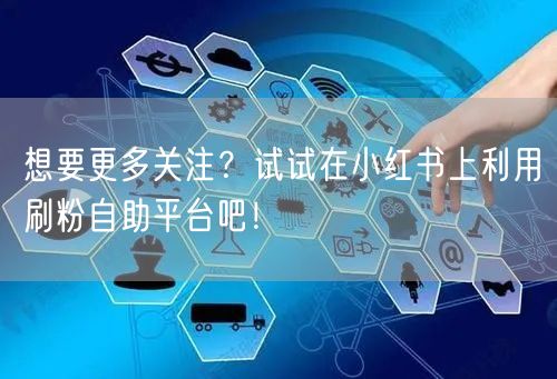 想要更多关注？试试在小红书上利用刷粉自助平台吧！