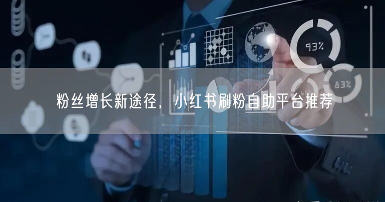 粉丝增长新途径，小红书刷粉自助平台推荐