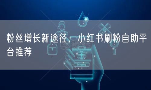 粉丝增长新途径，小红书刷粉自助平台推荐