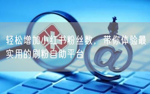 轻松增加小红书粉丝数，带你体验最实用的刷粉自助平台