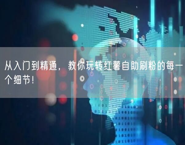 从入门到精通，教你玩转红薯自助刷粉的每一个细节！
