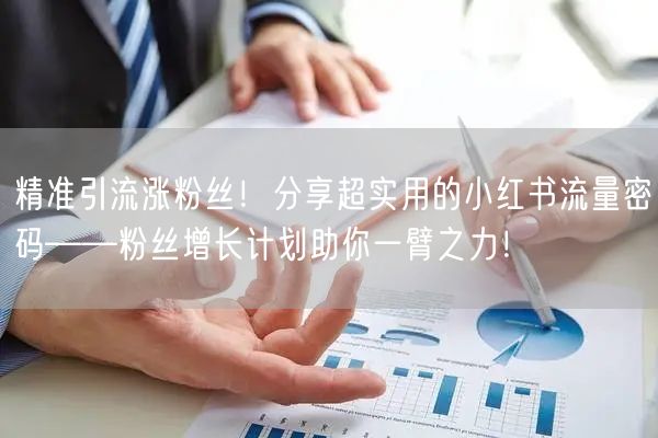 精准引流涨粉丝！分享超实用的小红书流量密码——粉丝增长计划助你一臂之力！