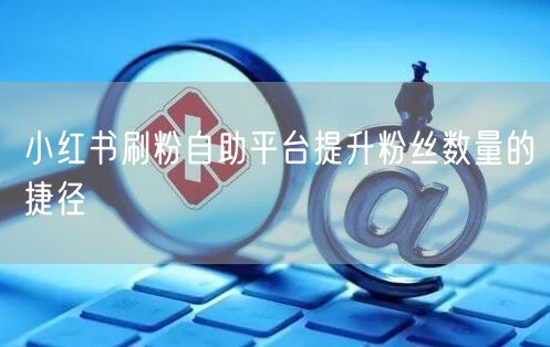 小红书刷粉自助平台提升粉丝数量的捷径