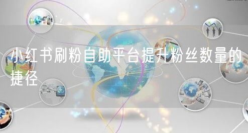 小红书刷粉自助平台提升粉丝数量的捷径