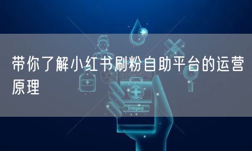 带你了解小红书刷粉自助平台的运营原理