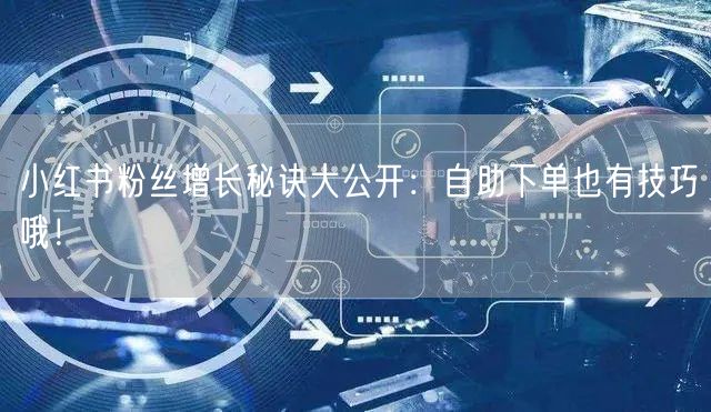 小红书粉丝增长秘诀大公开：自助下单也有技巧哦！