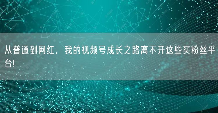 从普通到网红,我的视频号成长之路离不开这些买粉丝平台!