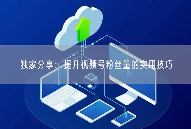 独家分享:提升视频号粉丝量的实用技巧