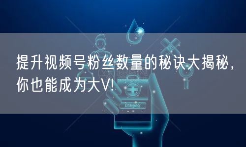 提升视频号粉丝数量的秘诀大揭秘,你也能成为大V!