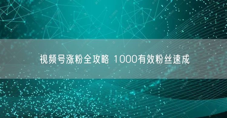 视频号涨粉全攻略 1000有效粉丝速成