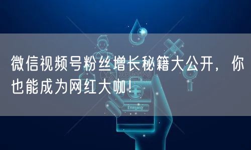 微信视频号粉丝增长秘籍大公开，你也能成为网红大咖！
