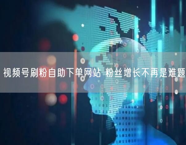 视频号刷粉自助下单网站 粉丝增长不再是难题