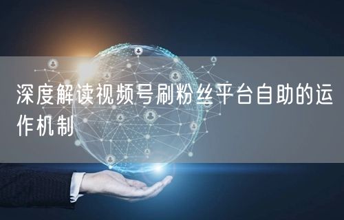 深度解读视频号刷粉丝平台自助的运作机制