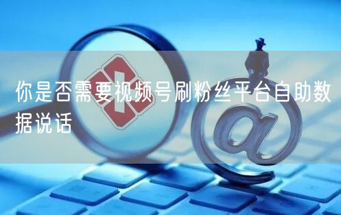 你是否需要视频号刷粉丝平台自助数据说话