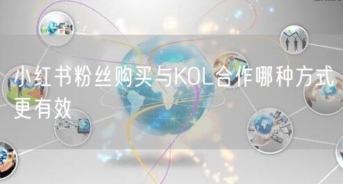 小红书粉丝购买与KOL合作哪种方式更有效